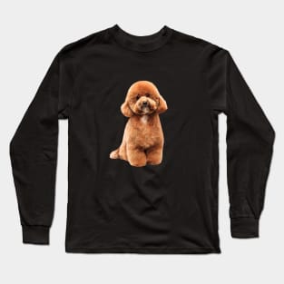 Toy Poodle Gorgeous Mini Dog Teddy Long Sleeve T-Shirt